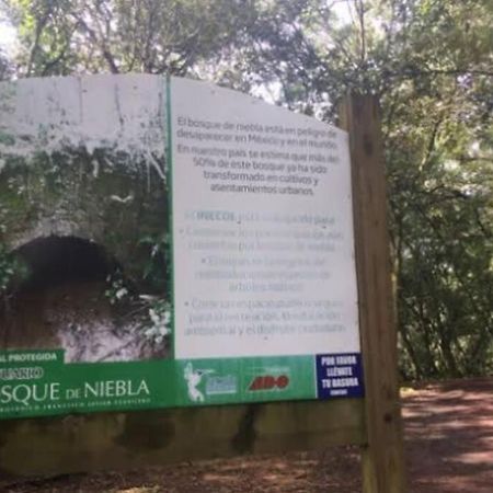 ハラパCasita Bosque Brionesアパートメント エクステリア 写真