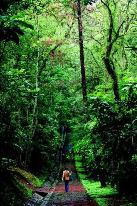 ハラパCasita Bosque Brionesアパートメント エクステリア 写真